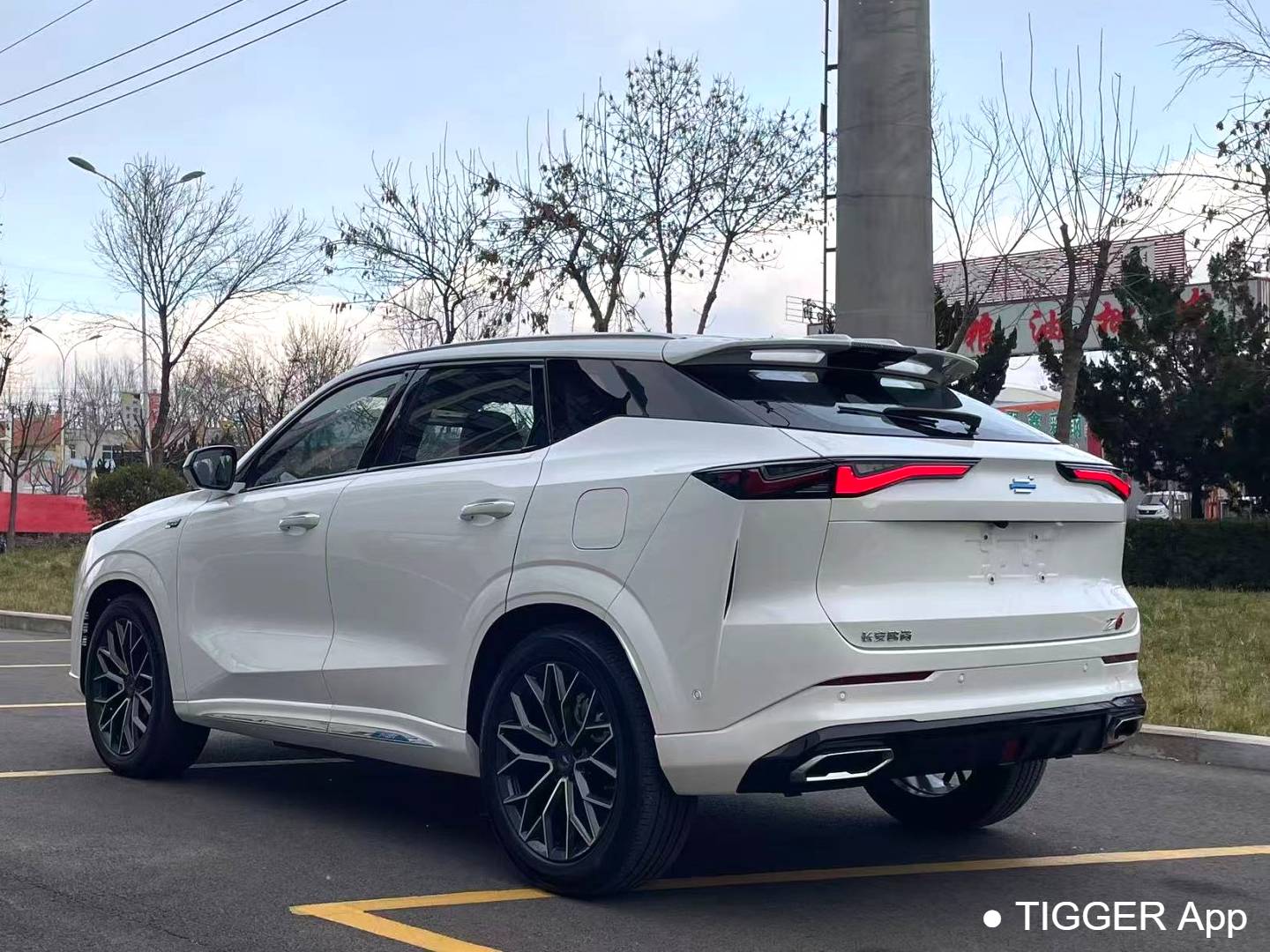 OSHAN 2023 Z6 iDD 1.5T three clutch 150KM flagship PLUS intelligent parking version automatic transmission