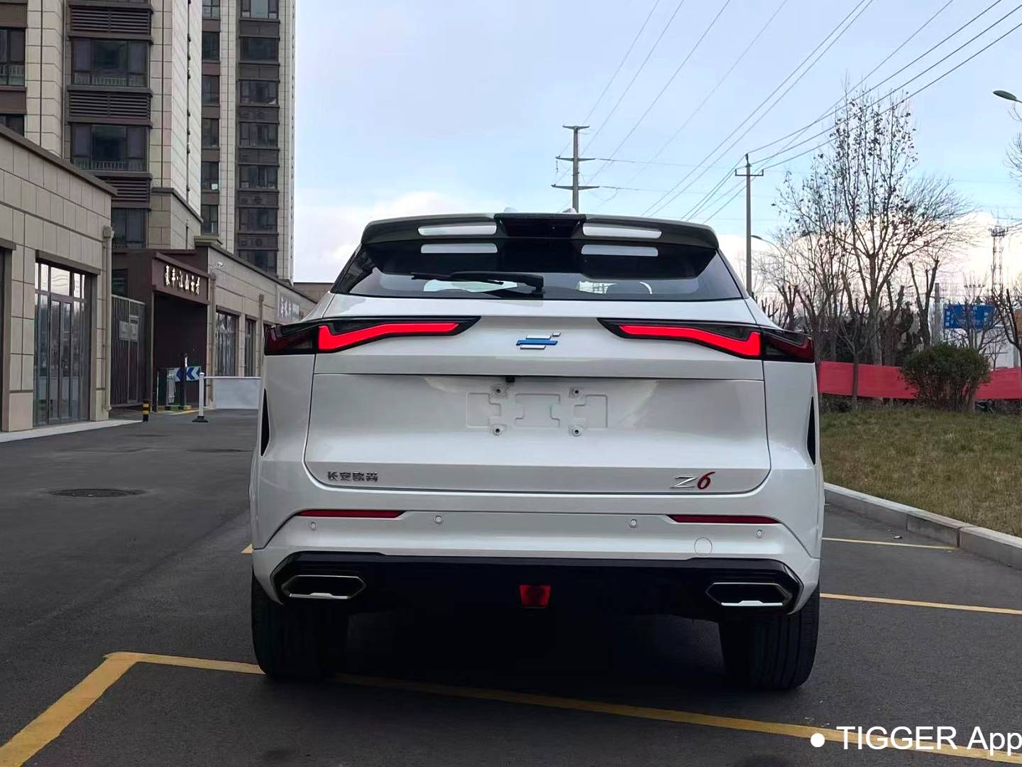 OSHAN 2023 Z6 iDD 1.5T three clutch 150KM flagship PLUS intelligent parking version automatic transmission