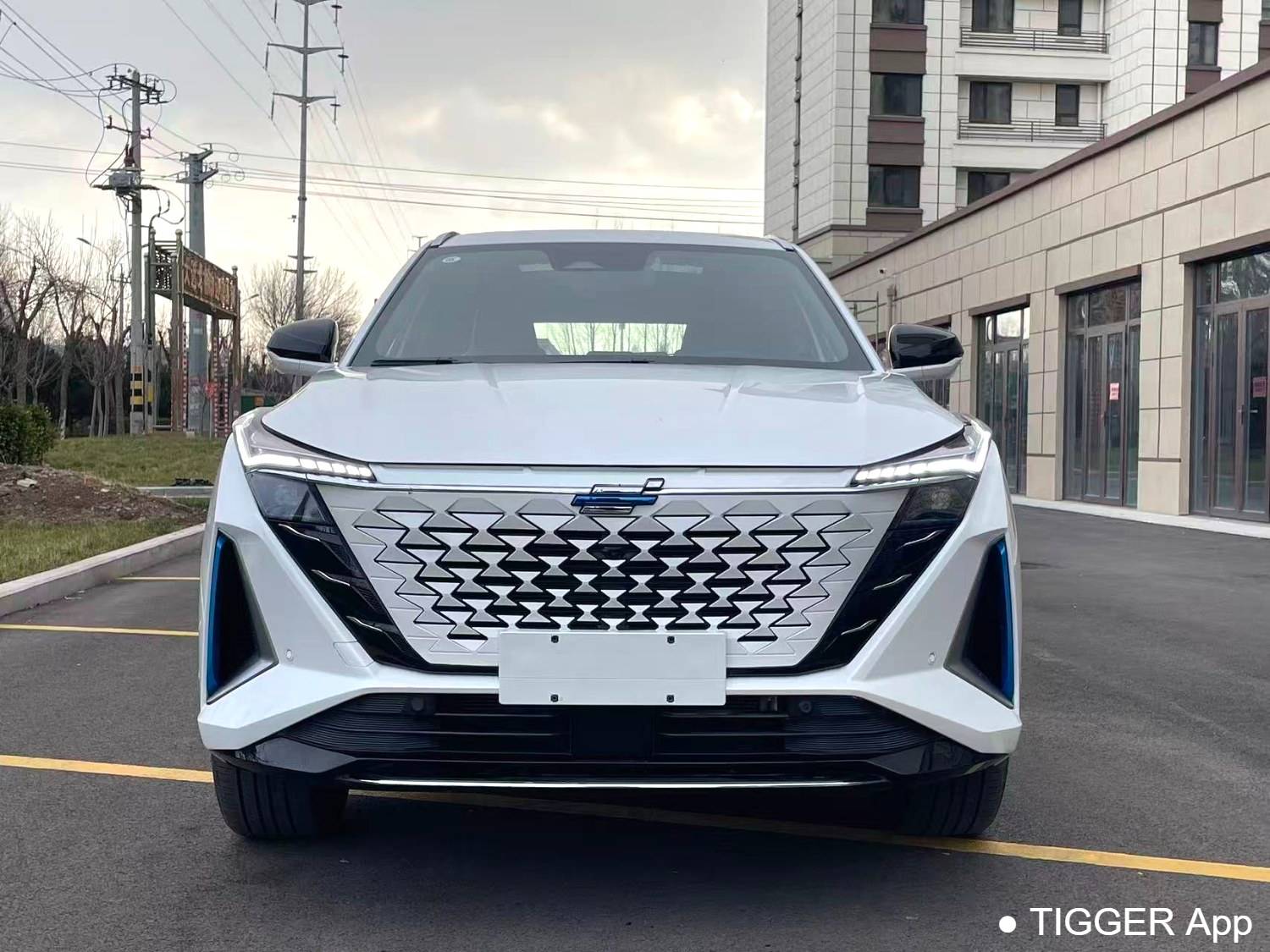 OSHAN 2023 Z6 iDD 1.5T three clutch 150KM flagship PLUS intelligent parking version automatic transmission