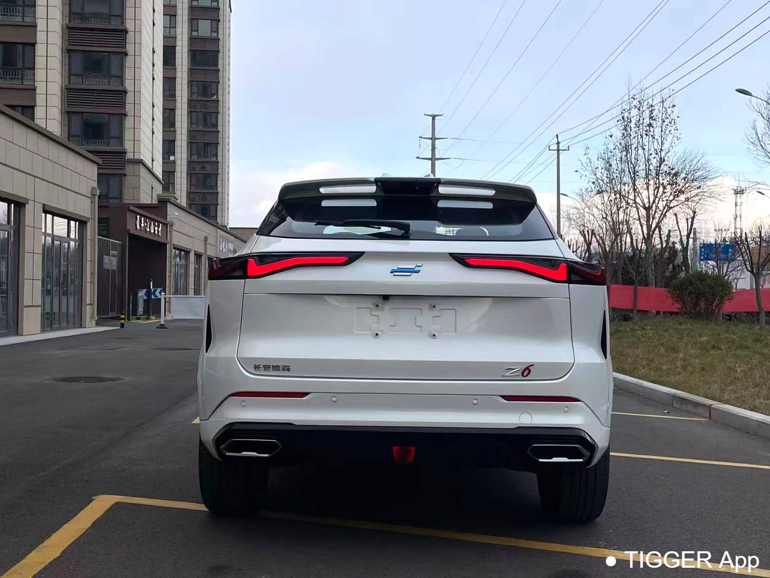 OSHAN 2023 Z6 iDD 1.5T three clutch 150KM flagship PLUS intelligent parking version automatic transmission