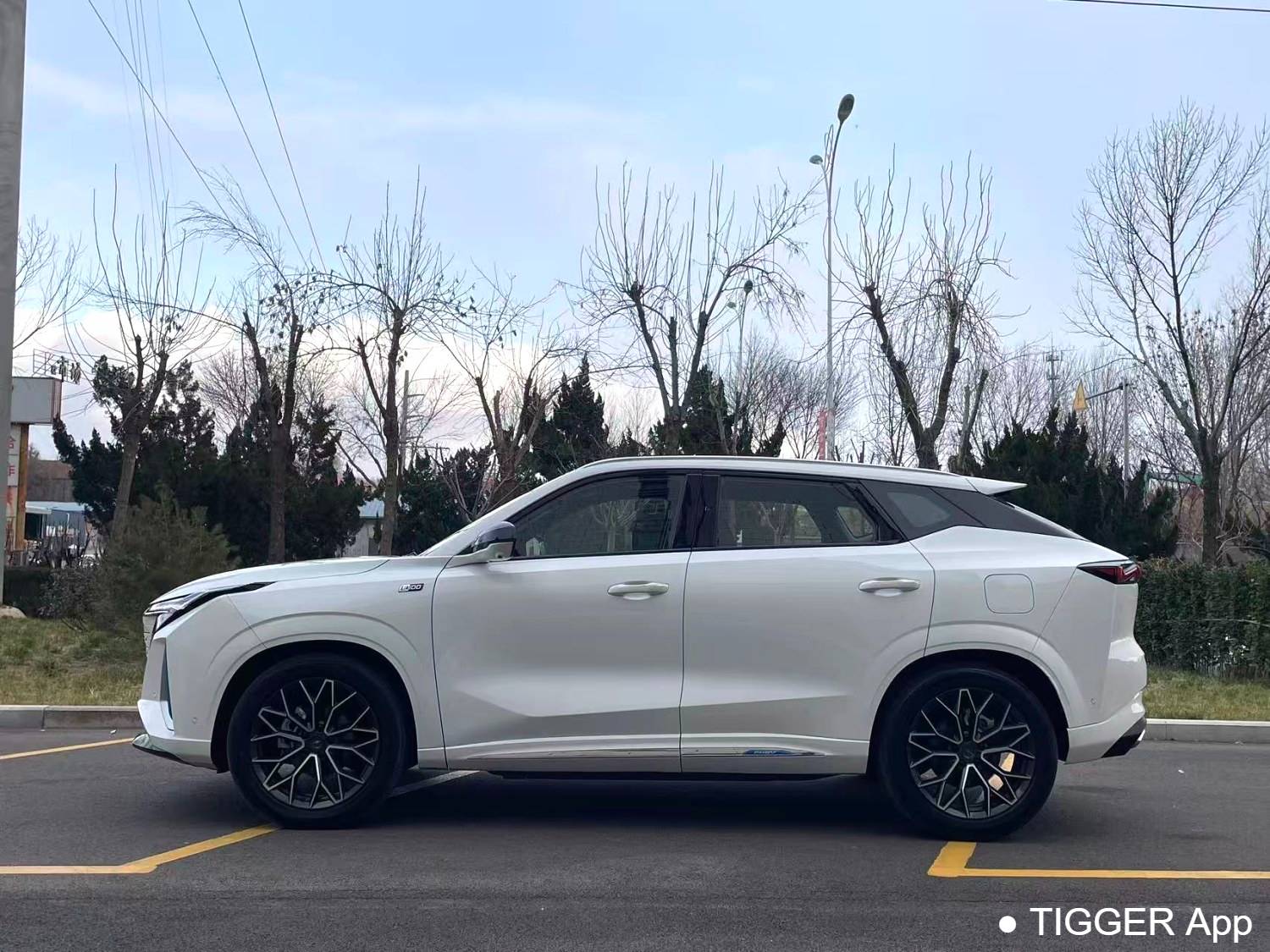 OSHAN 2023 Z6 iDD 1.5T three clutch 150KM flagship PLUS intelligent parking version automatic transmission