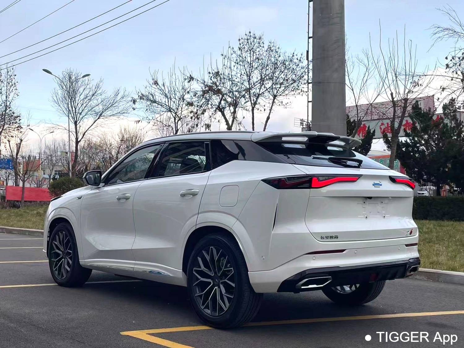 OSHAN 2023 Z6 iDD 1.5T three clutch 150KM flagship PLUS intelligent parking version automatic transmission