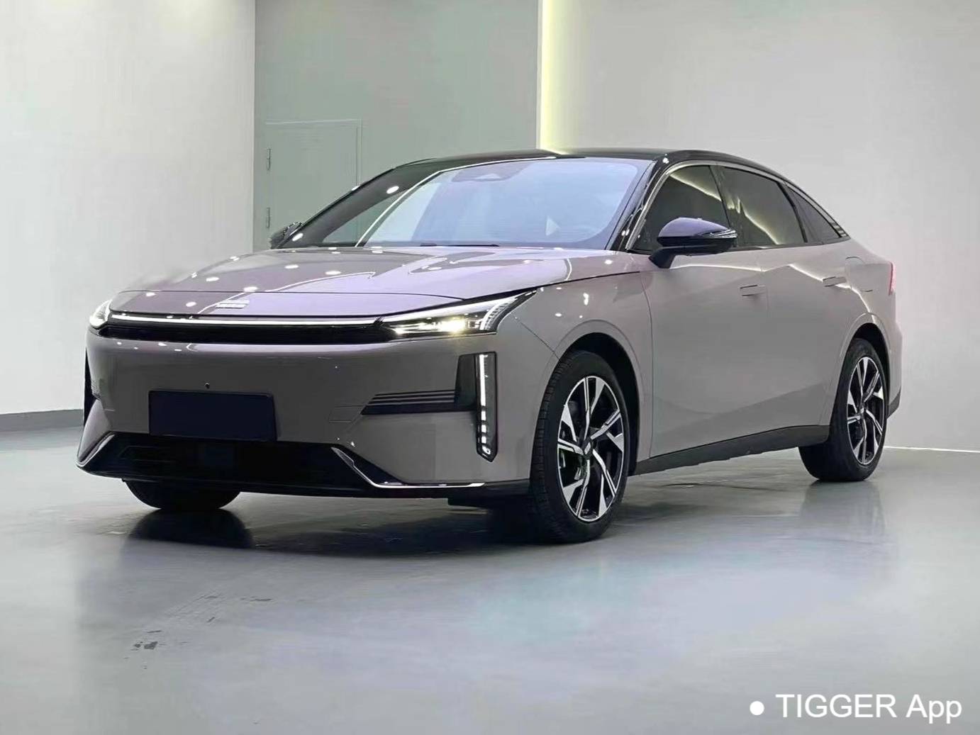 GALAXY 2024 L6 1.5T 125km Creative Edition Automatic Transmission