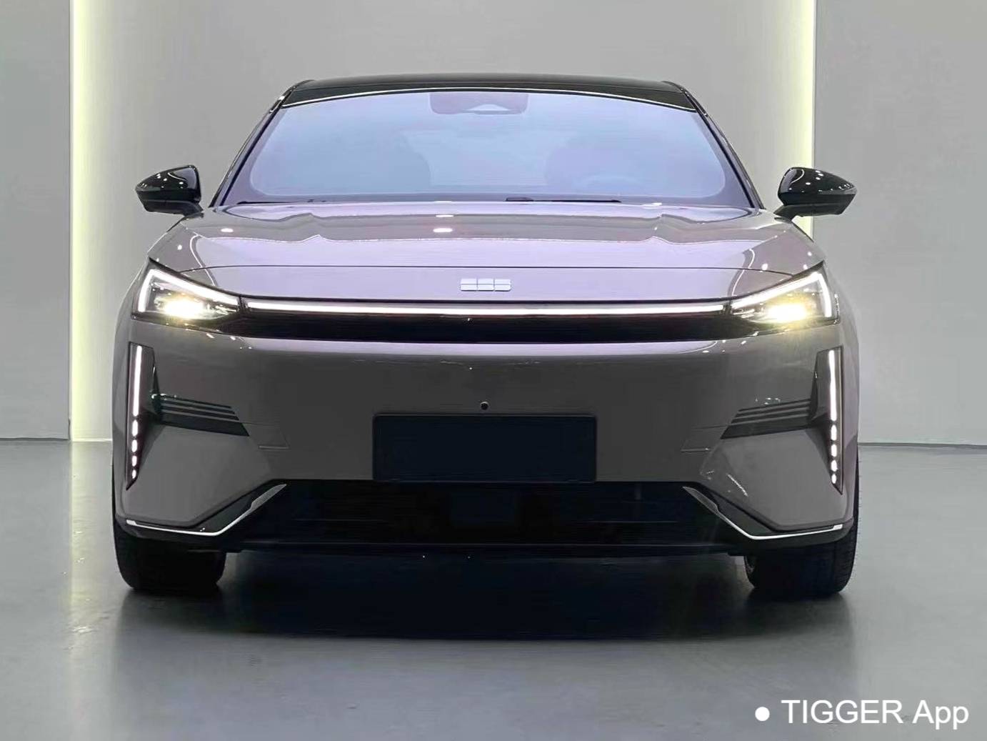 GALAXY 2024 L6 1.5T 125km Creative Edition Automatic Transmission