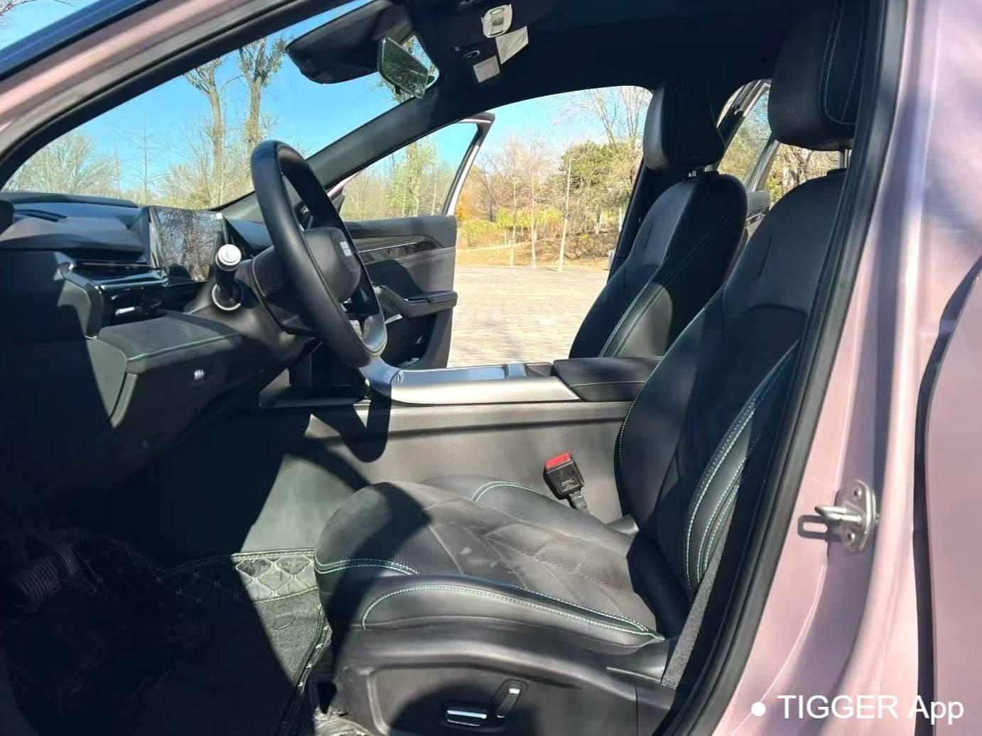 GALAXY 2024 L6 1.5T 125km Creative Edition Automatic Transmission