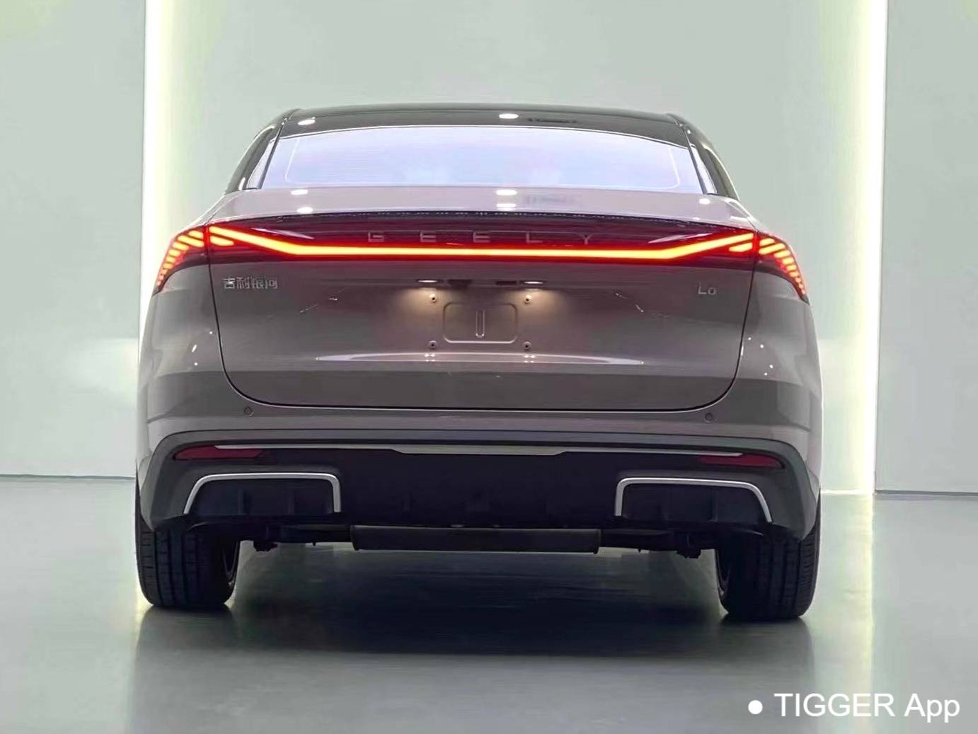 GALAXY 2024 L6 1.5T 125km Creative Edition Automatic Transmission