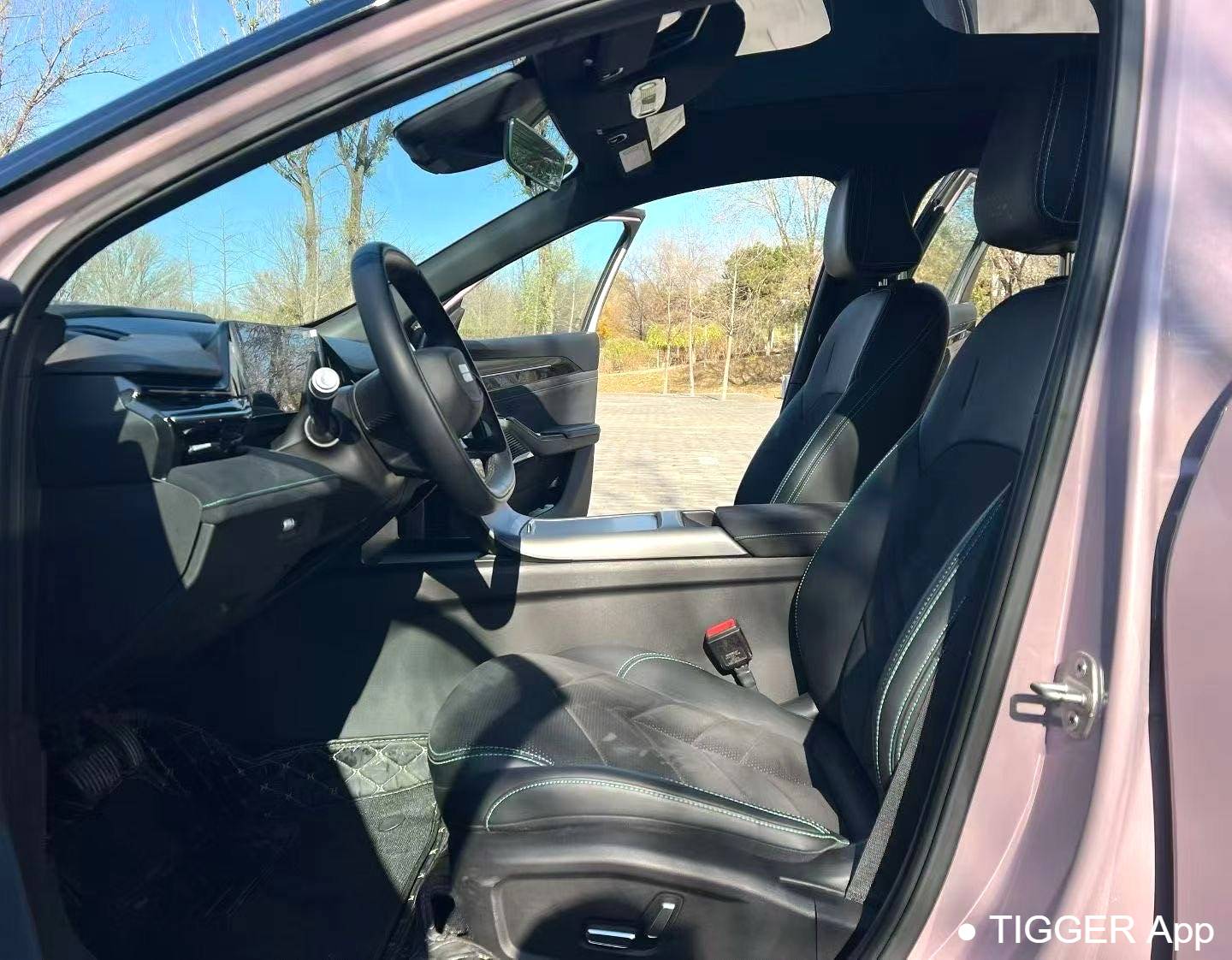 GALAXY 2024 L6 1.5T 125km Creative Edition Automatic Transmission