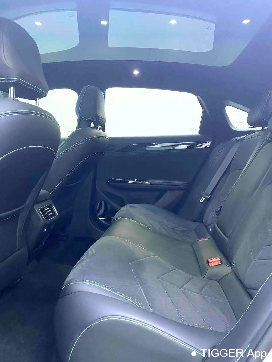 GALAXY 2024 L6 1.5T 125km Creative Edition Automatic Transmission