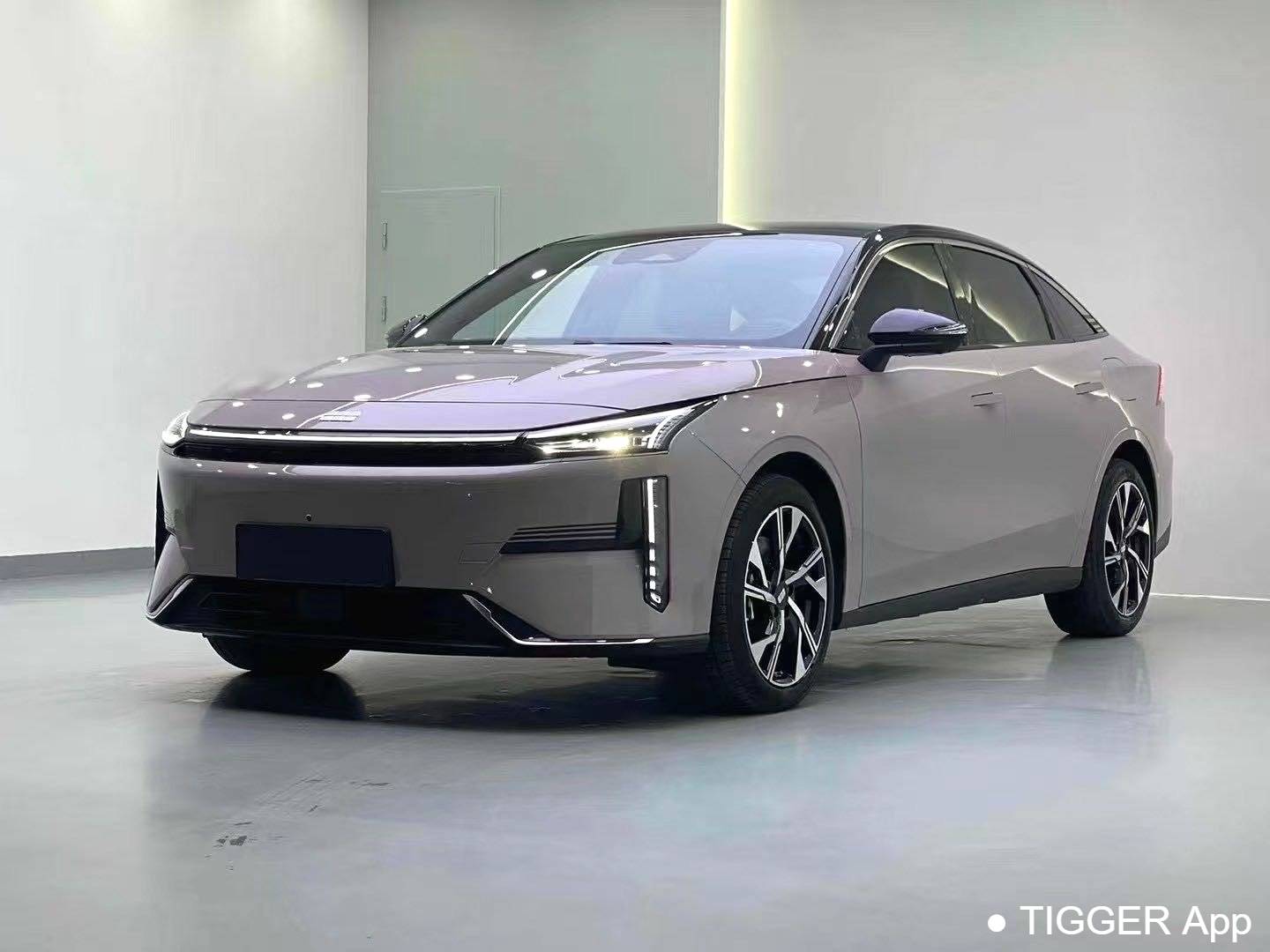 GALAXY 2024 L6 1.5T 125km Creative Edition Automatic Transmission