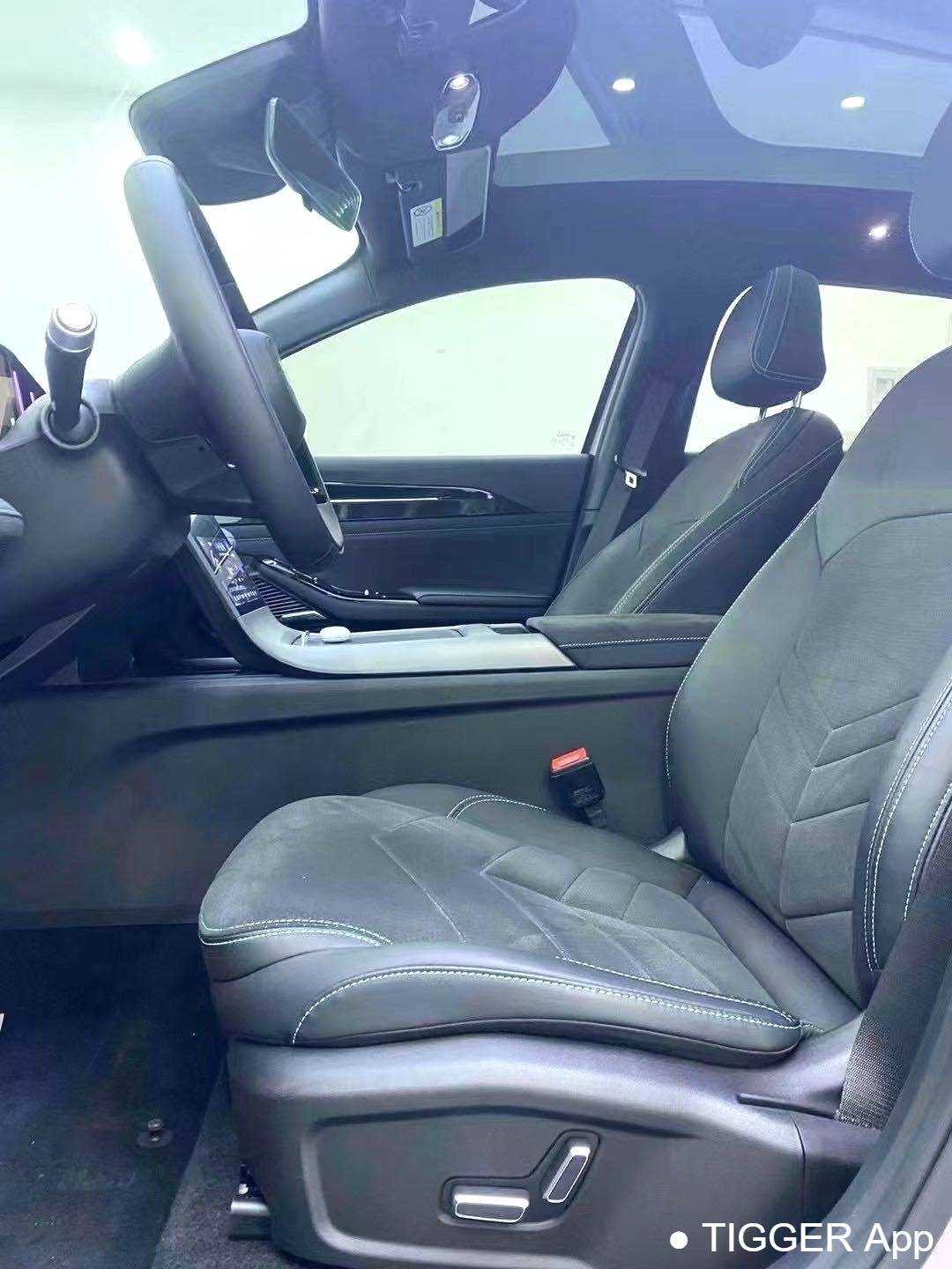 GALAXY 2024 L6 1.5T 125km Creative Edition Automatic Transmission