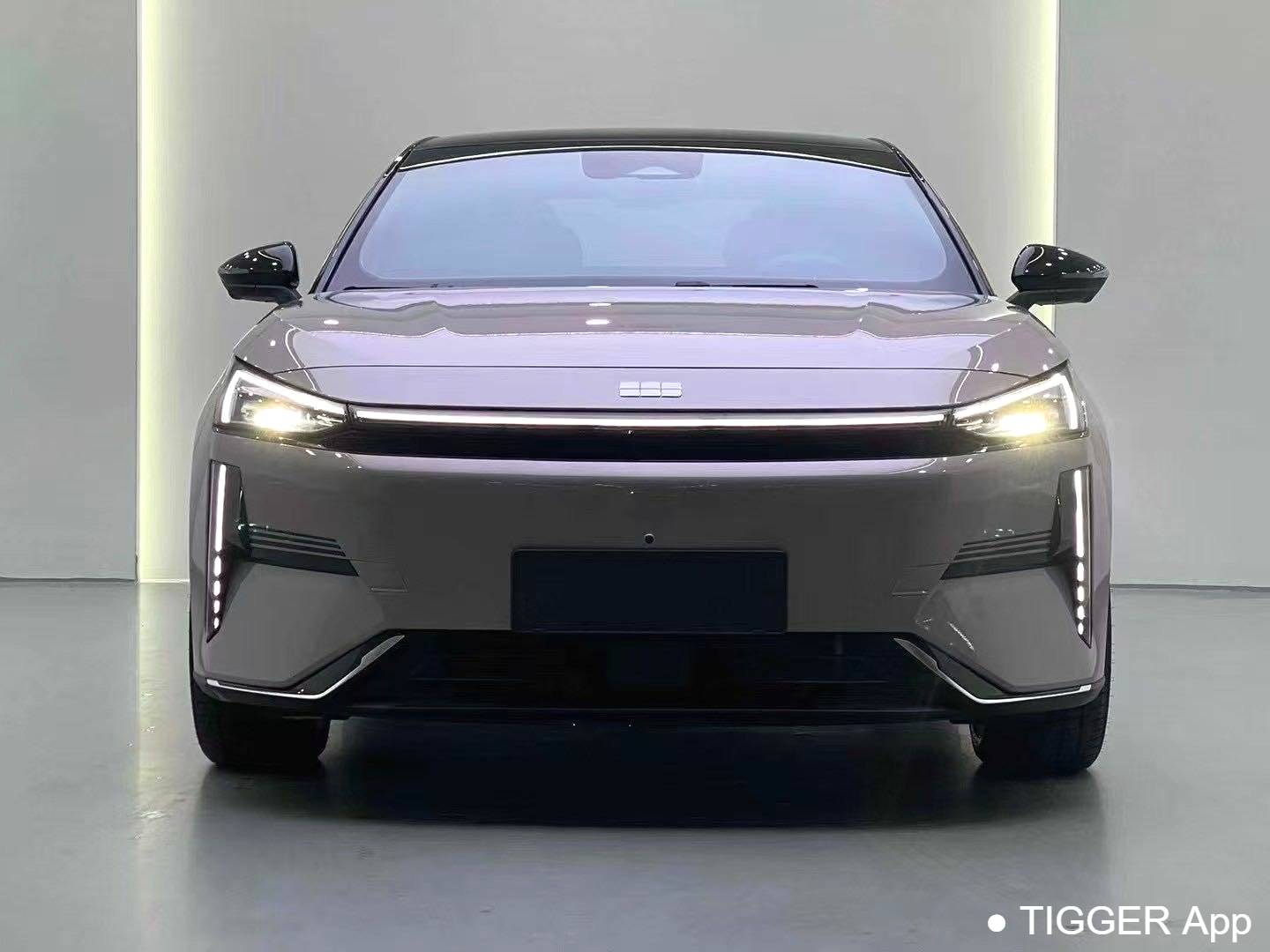 GALAXY 2024 L6 1.5T 125km Creative Edition Automatic Transmission