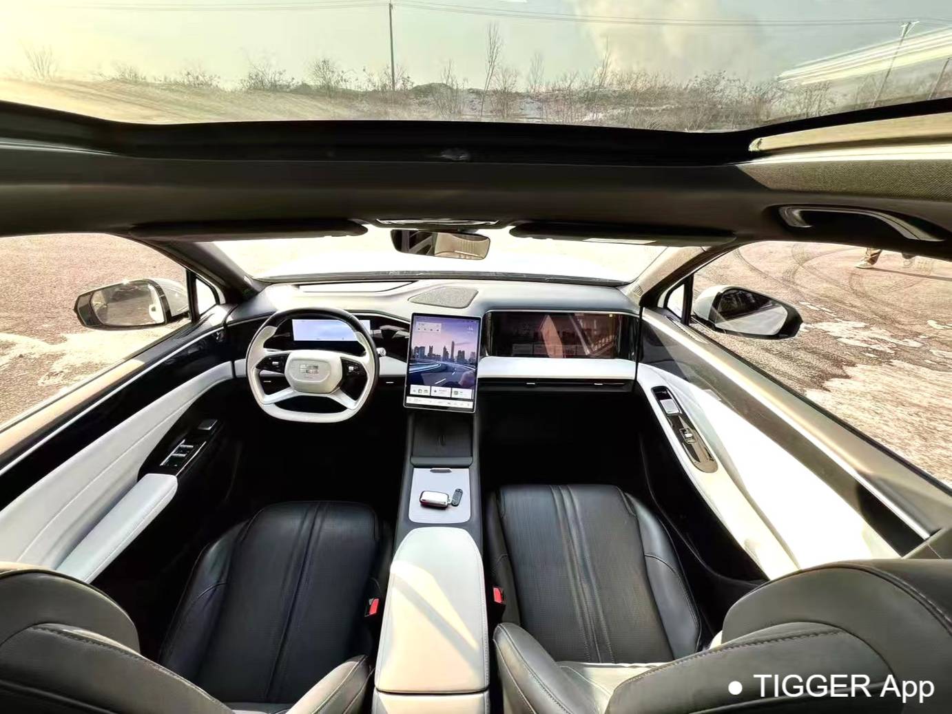 GALAXY 2024 L7 1.5T Longteng Edition 115km Asian Games Phantom Edition Automatic Transmission