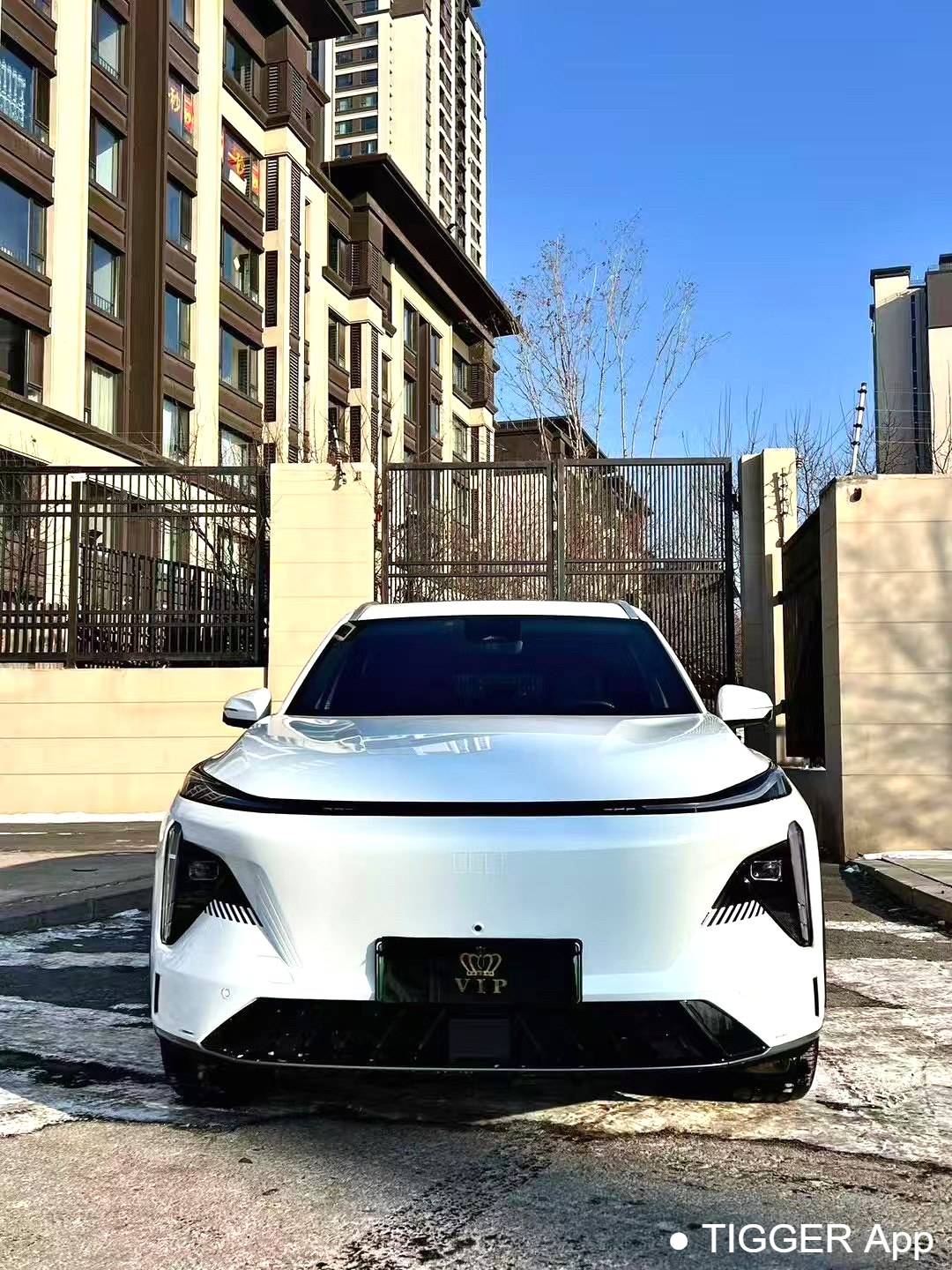 GALAXY 2024 L7 1.5T Longteng Edition 115km Asian Games Phantom Edition Automatic Transmission