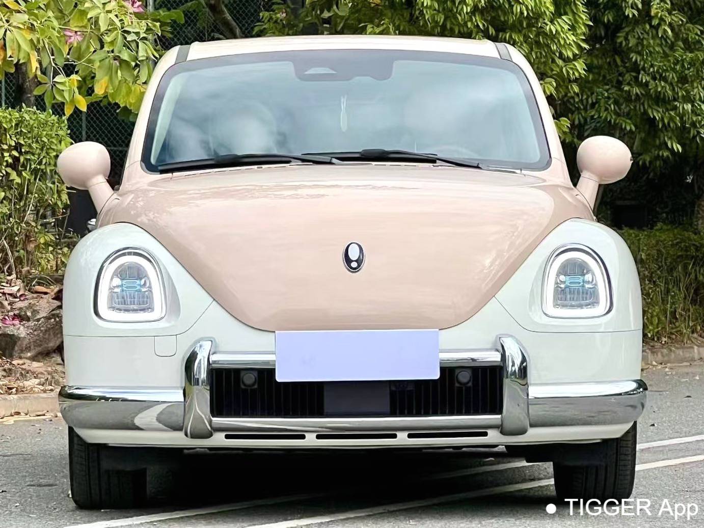 ORA 2022 Ballet Cat 401km Alice Edition Automatic