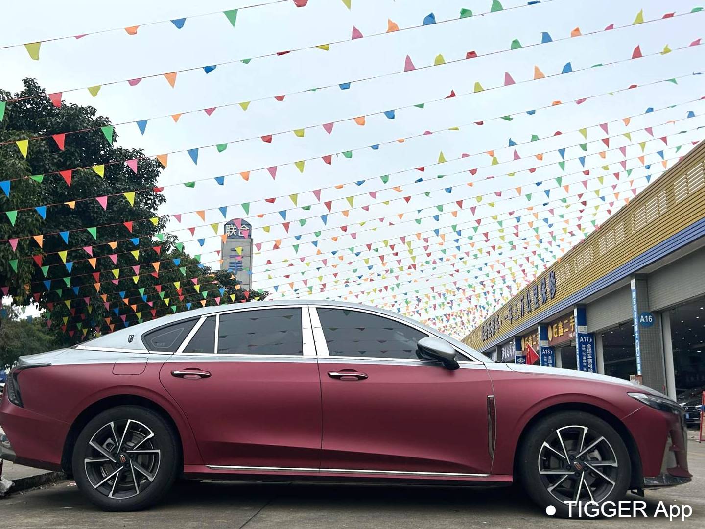 Hong Qi 2024 H6 2.0T Zhimei Edition Automatic Transmission