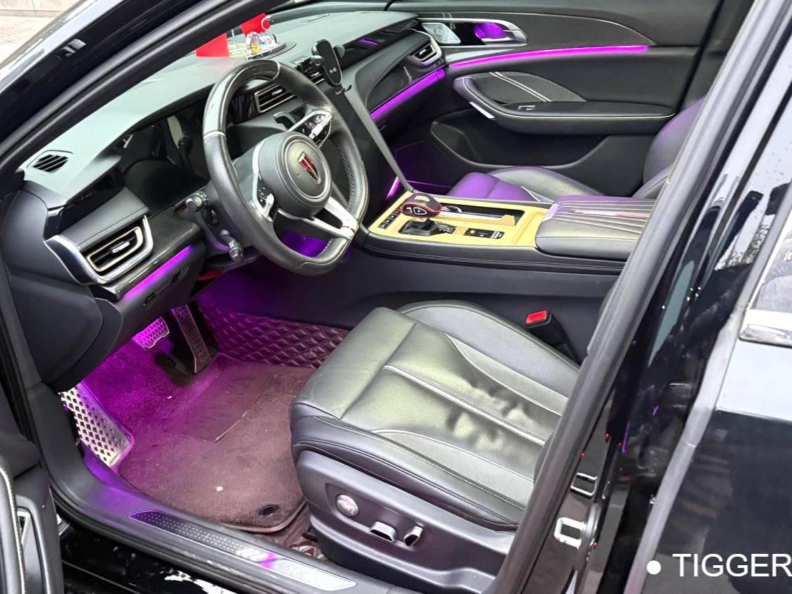 Hong Qi  2023 H6 2.0T Zhishang Edition Automatic Transmission