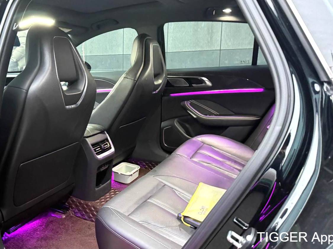 Hong Qi  2023 H6 2.0T Zhishang Edition Automatic Transmission