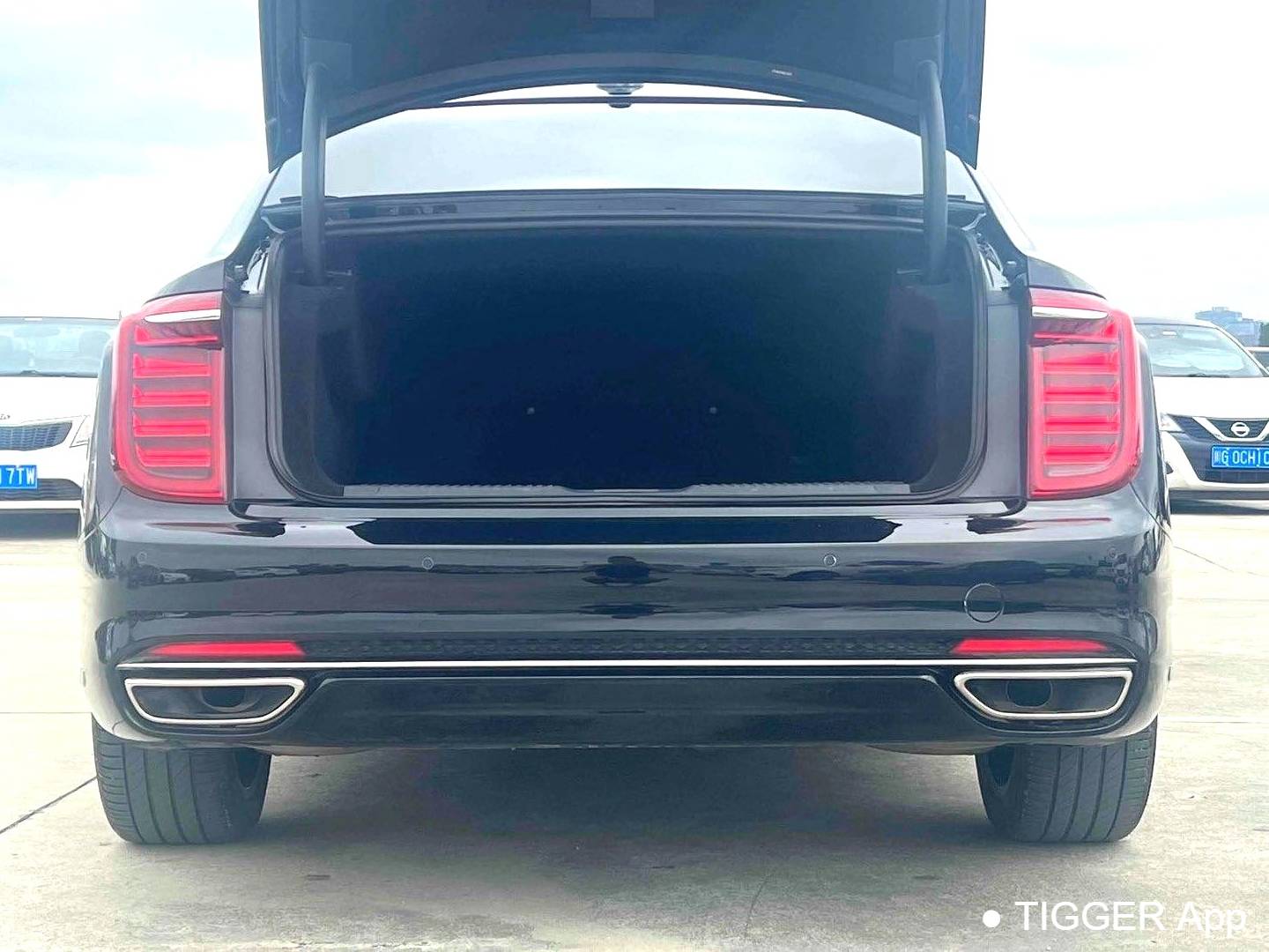 Hong Qi 2022 H9 48V 2.0T Intelligent Connection Flag Enjoyment Edition Automatic Transmission