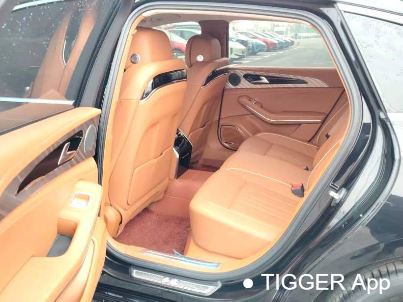 Hong Qi 2022 H9 48V 2.0T Intelligent Connection Flag Enjoyment Edition Automatic Transmission