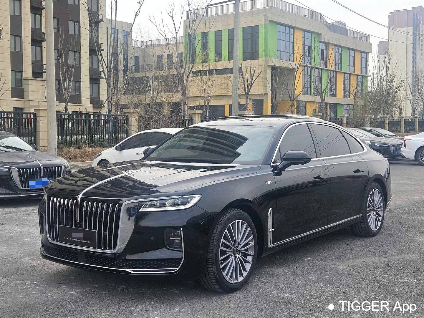 Hong Qi 2024 H9 2.5T Special Official Edition Automatic Transmission