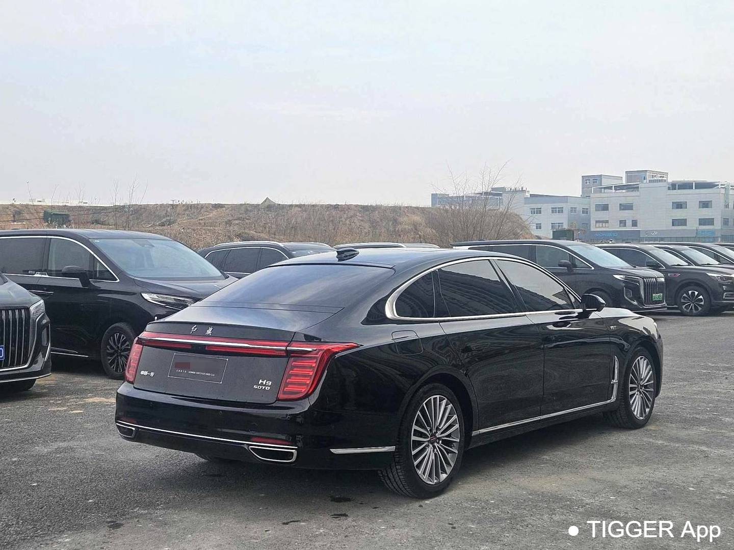 Hong Qi 2024 H9 2.5T Special Official Edition Automatic Transmission