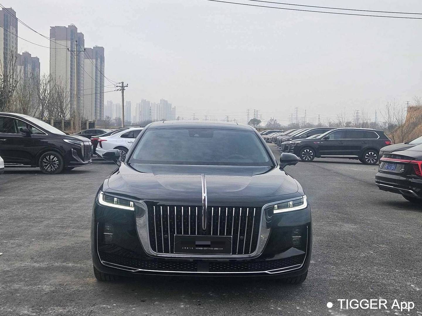 Hong Qi 2024 H9 2.5T Special Official Edition Automatic Transmission