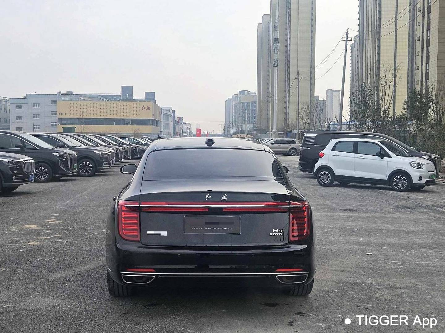 Hong Qi 2024 H9 2.5T Special Official Edition Automatic Transmission