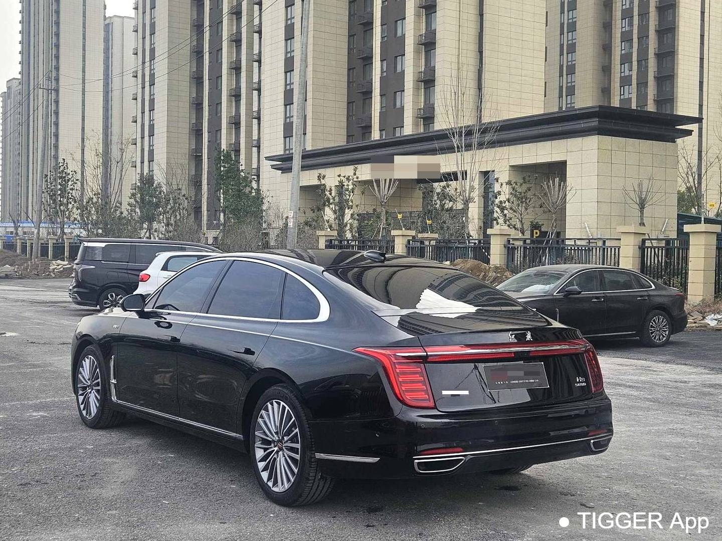 Hong Qi 2024 H9 2.5T Special Official Edition Automatic Transmission