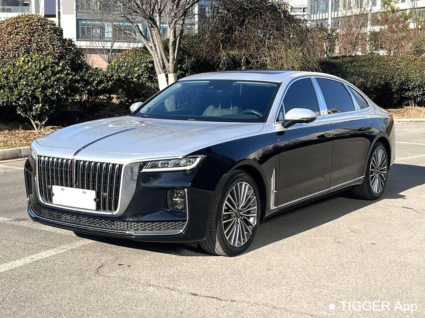 Hong Qi  2023 H9 48V 2.0T Intelligent Connection Flag Enjoyment Edition Automatic Transmission