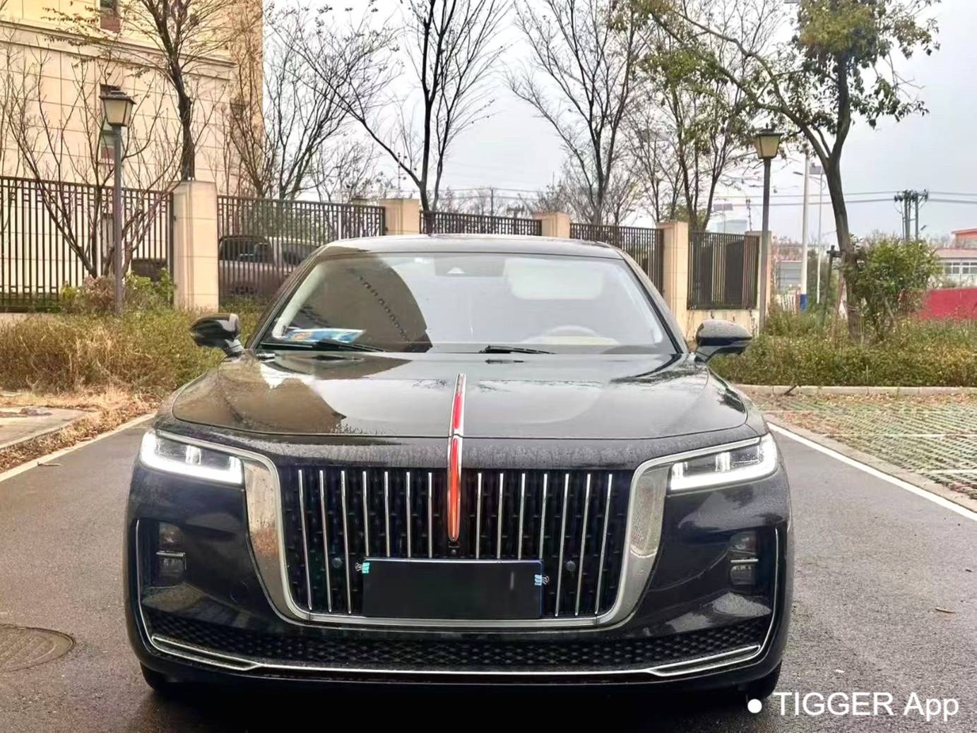 Hong Qi  2022 H9 48V 2.0T Intelligent Connection Flag Enjoyment Edition Automatic Transmission