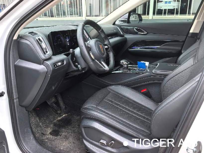 Hong Qi  2024 HS3 PHEV 1.5T 115km Power Edition Automatic Transmission