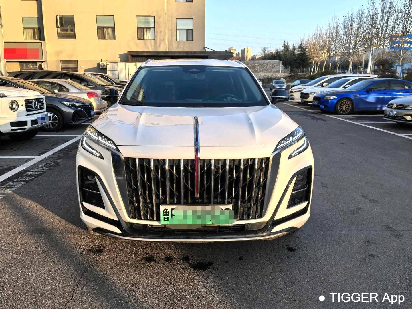 Hong Qi 2024 HS3 PHEV 1.5T 115km Power Edition Automatic Transmission