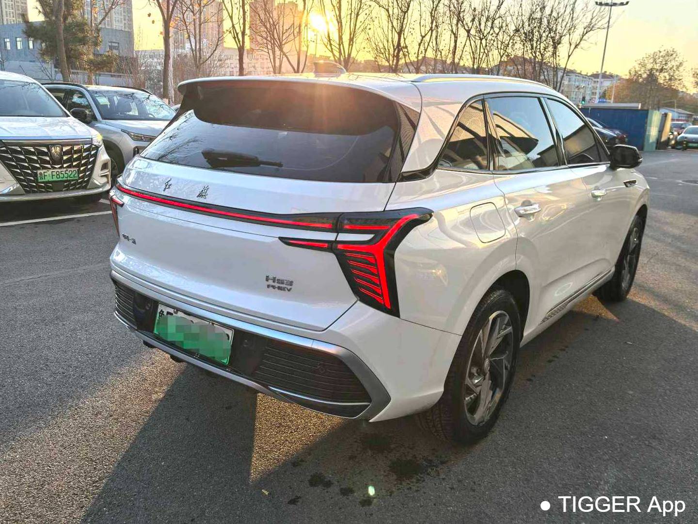 Hong Qi 2024 HS3 PHEV 1.5T 115km Power Edition Automatic Transmission