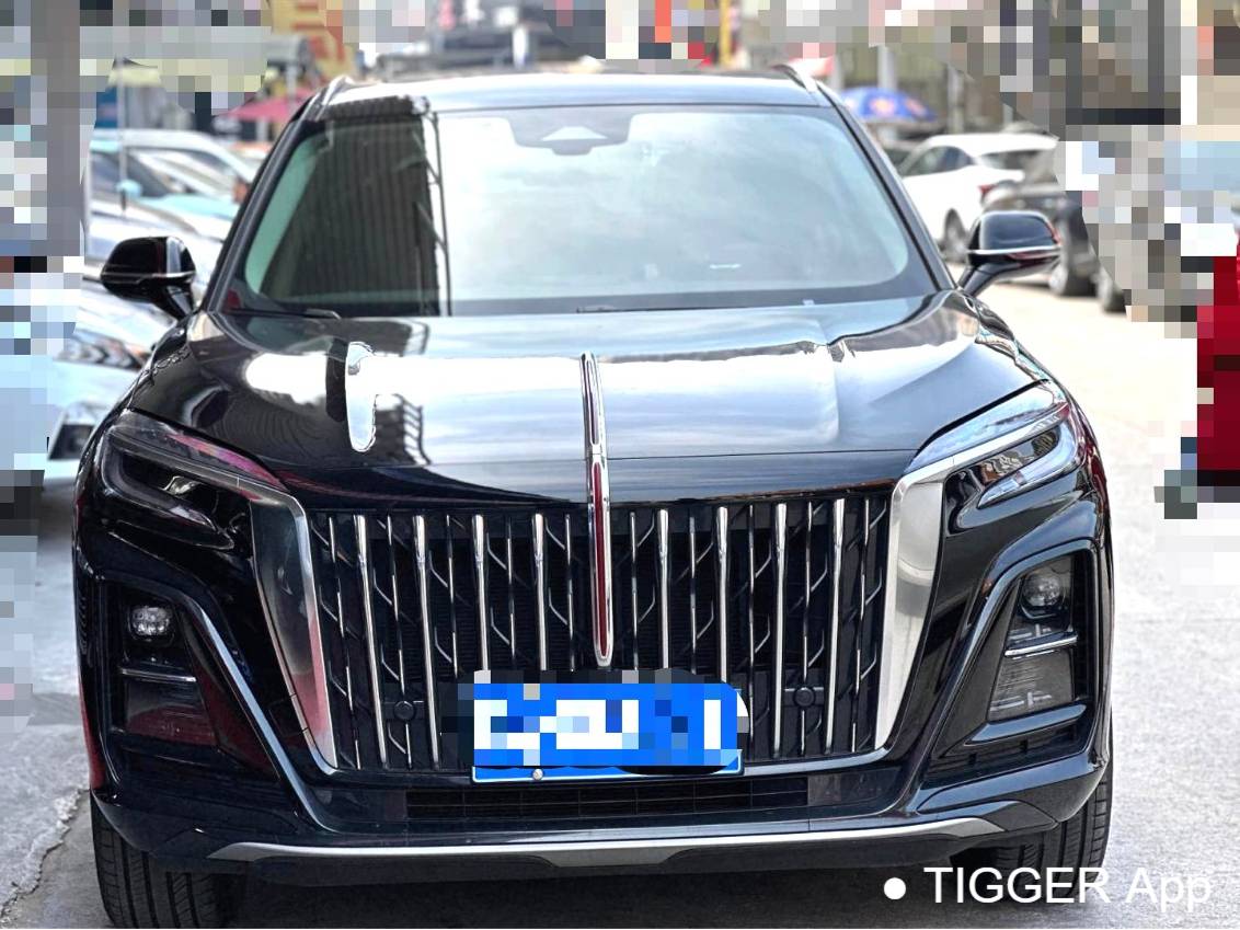 Hong Qi 2023 HS3 1.5T 2WD Shanwei Edition Automatic Transmission