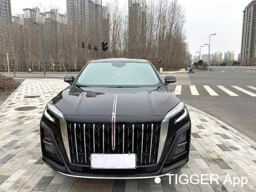 Hong Qi 2024 HS3 1.5T Zhiwei Edition Automatic Transmission