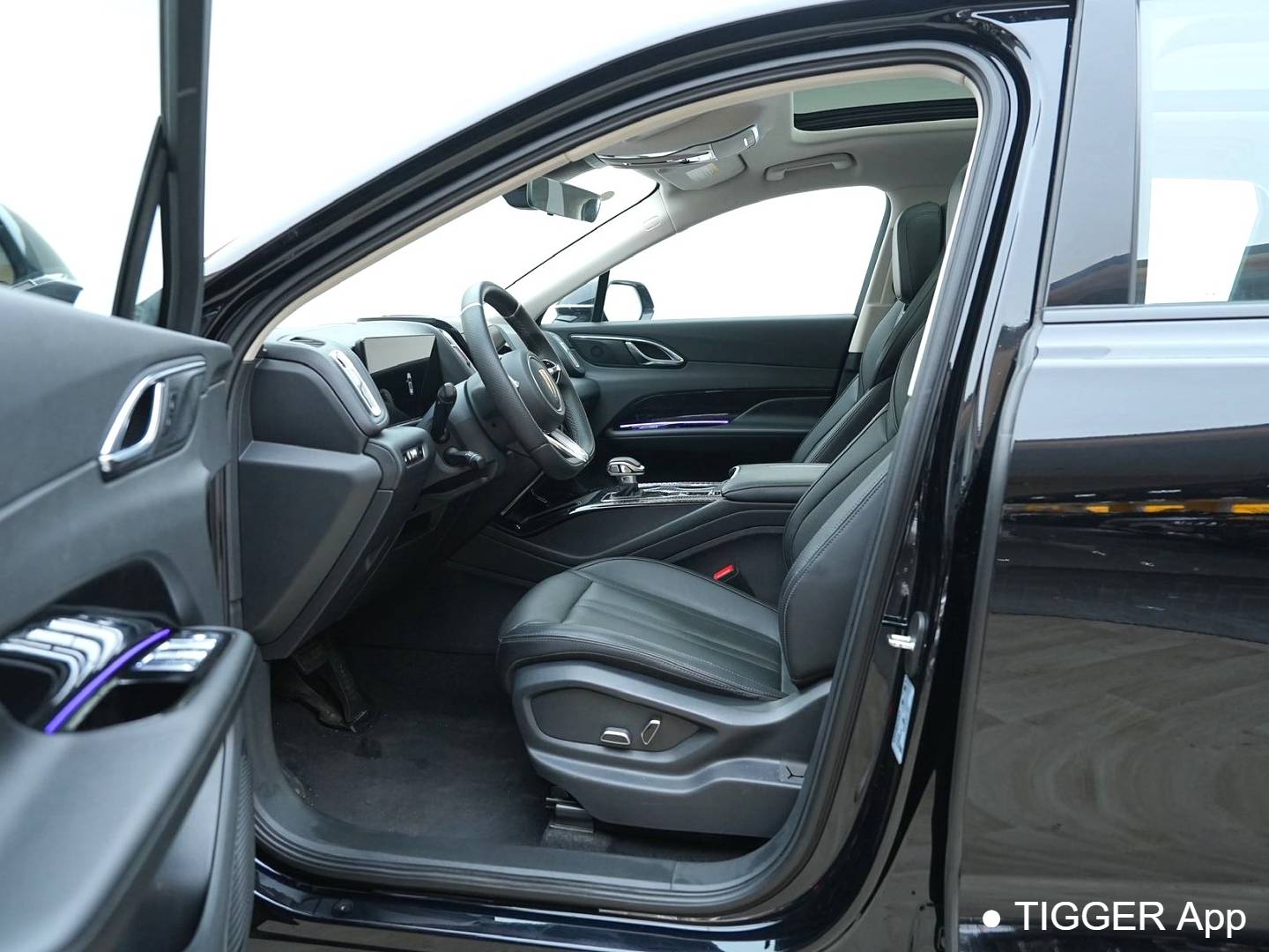 Hong Qi  2024 HS3 PHEV 1.5T 115km Power Edition Automatic Transmission