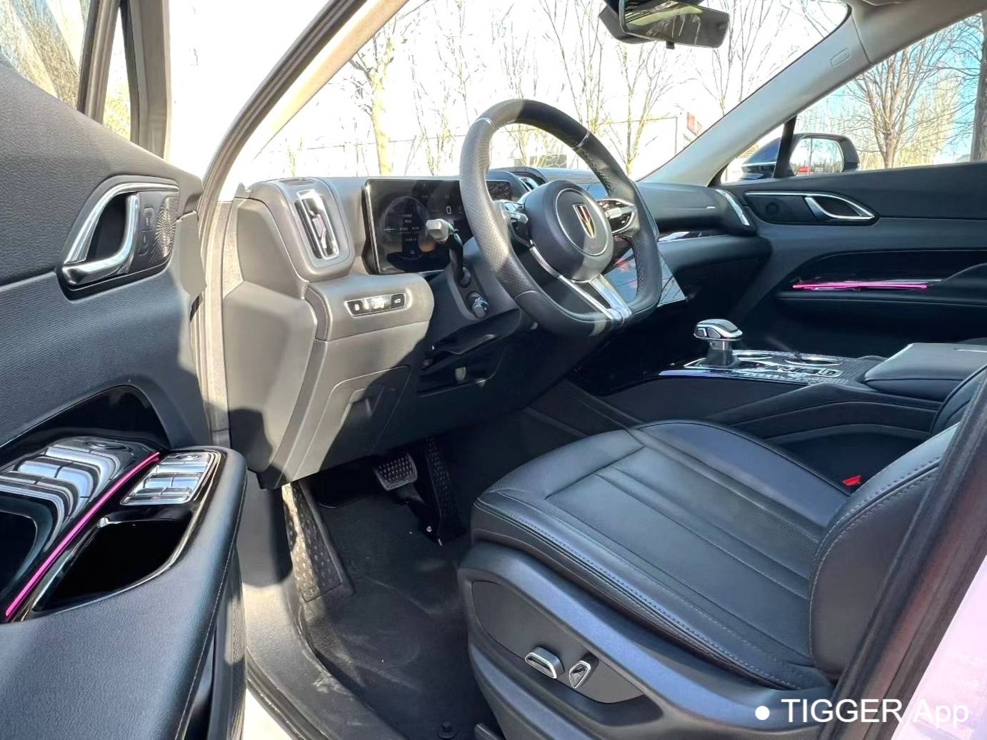 Hong Qi  2024 HS3 PHEV 1.5T 115km Power Edition Automatic Transmission