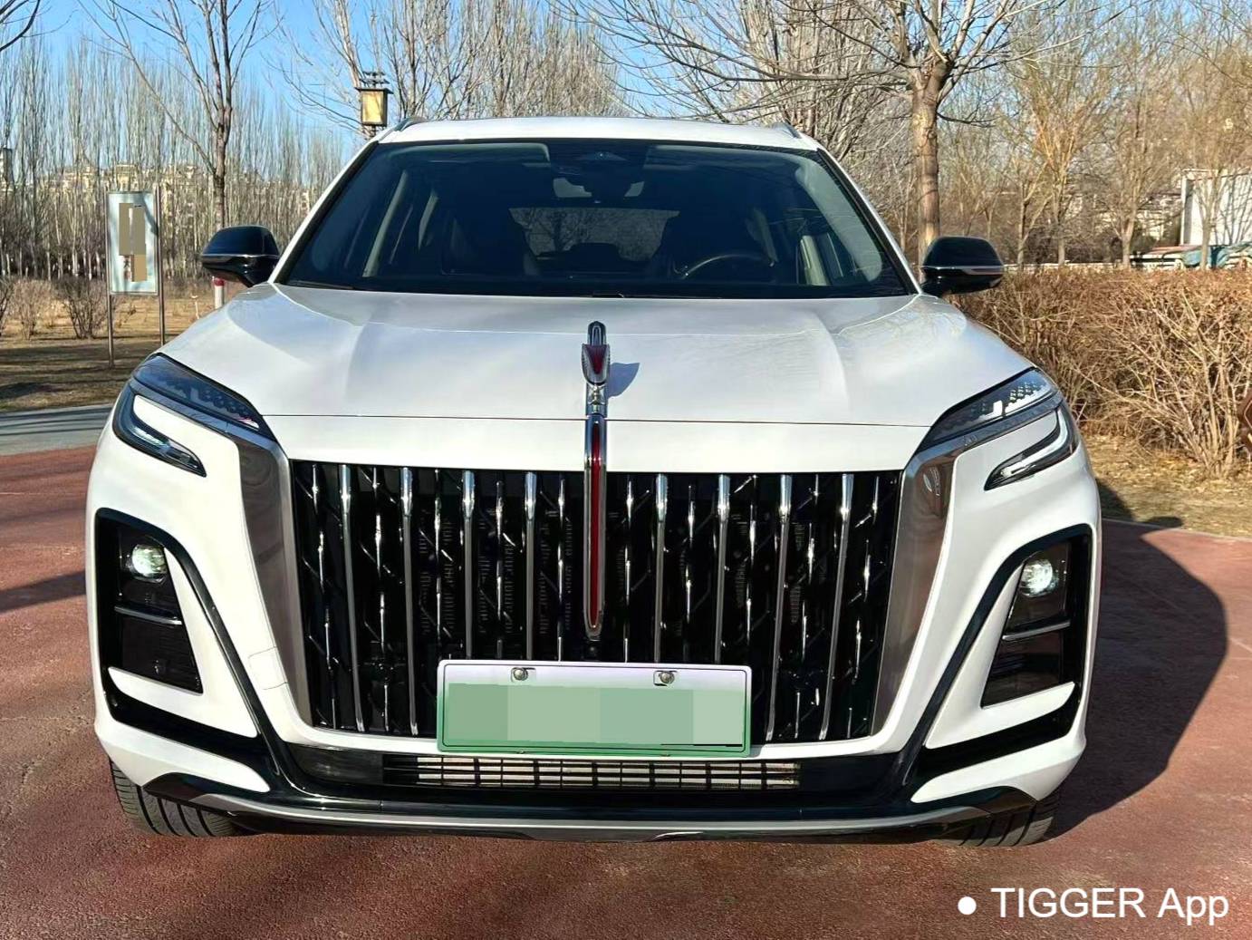 Hong Qi  2024 HS3 PHEV 1.5T 115km Power Edition Automatic Transmission