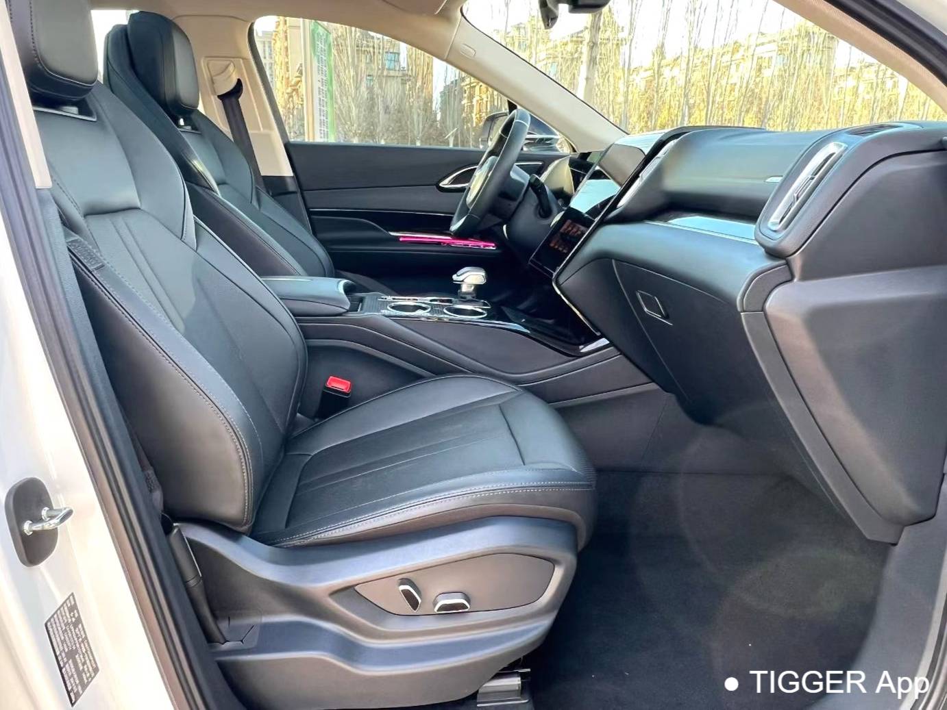 Hong Qi  2024 HS3 PHEV 1.5T 115km Power Edition Automatic Transmission