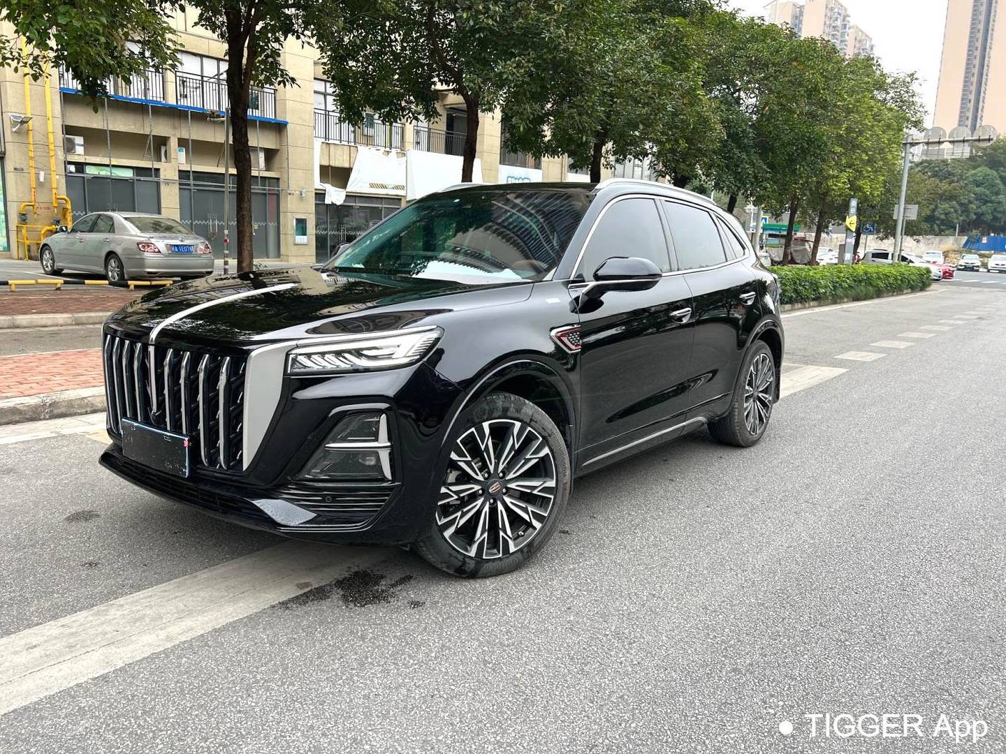 Hong Qi 2023 HS5 2.0T 4WD Flag Enjoy Pro Edition Automatic