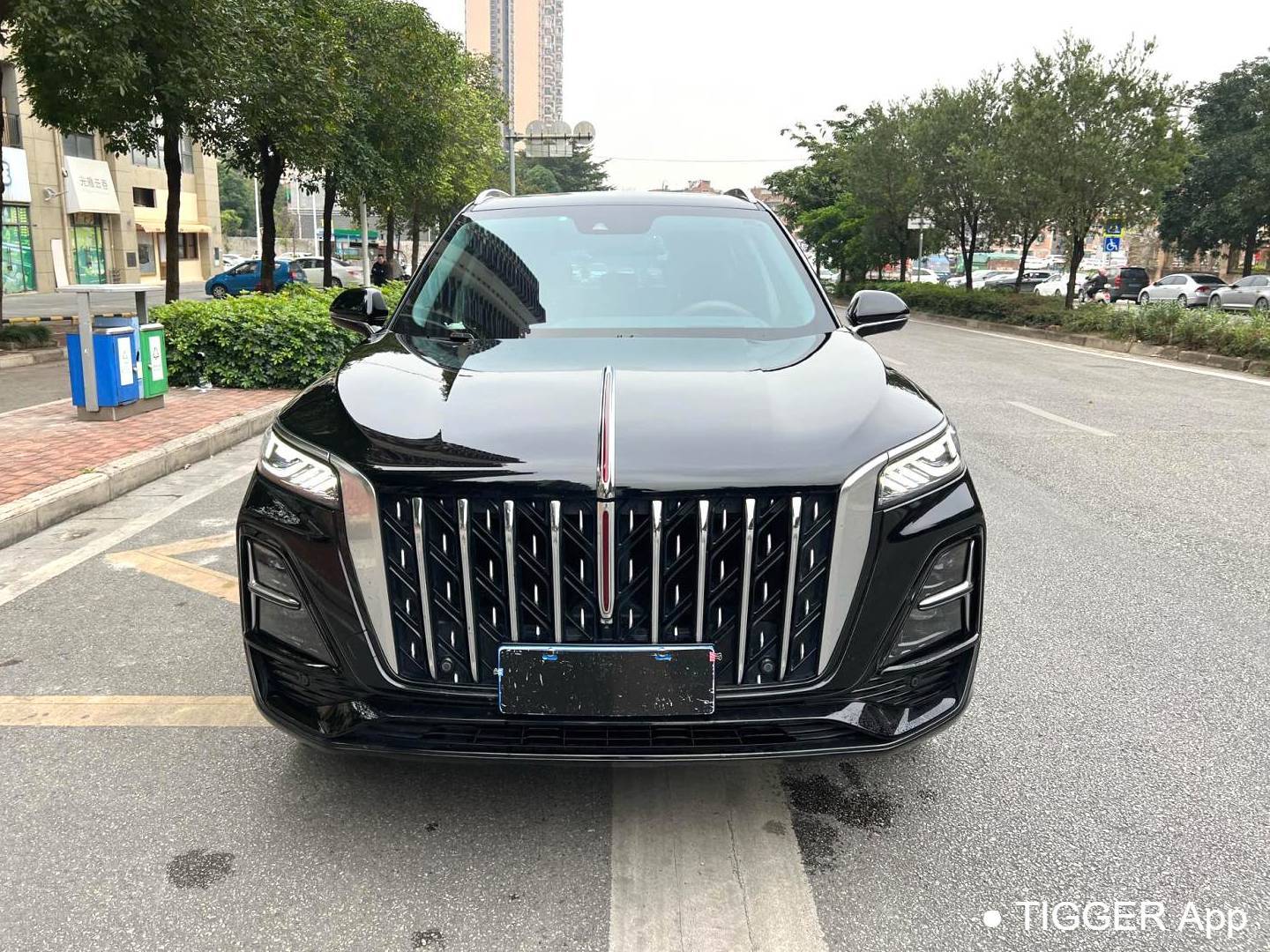 Hong Qi 2023 HS5 2.0T 4WD Flag Enjoy Pro Edition Automatic
