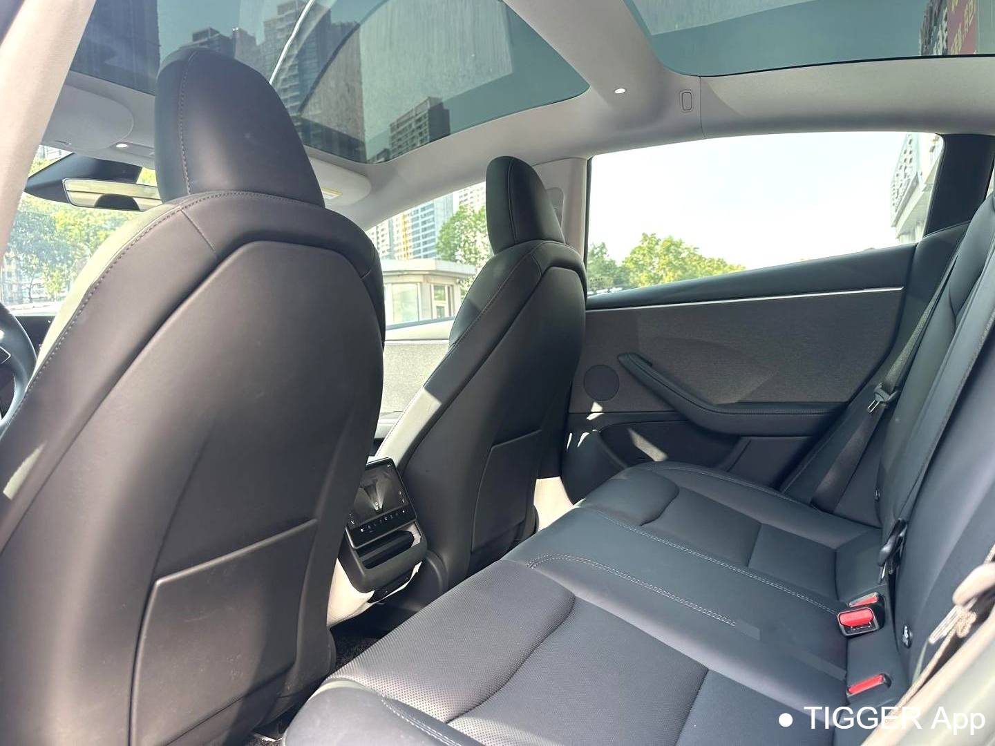 TESLA 2023 Model 3 refreshed with rear wheel drive automatic transmission