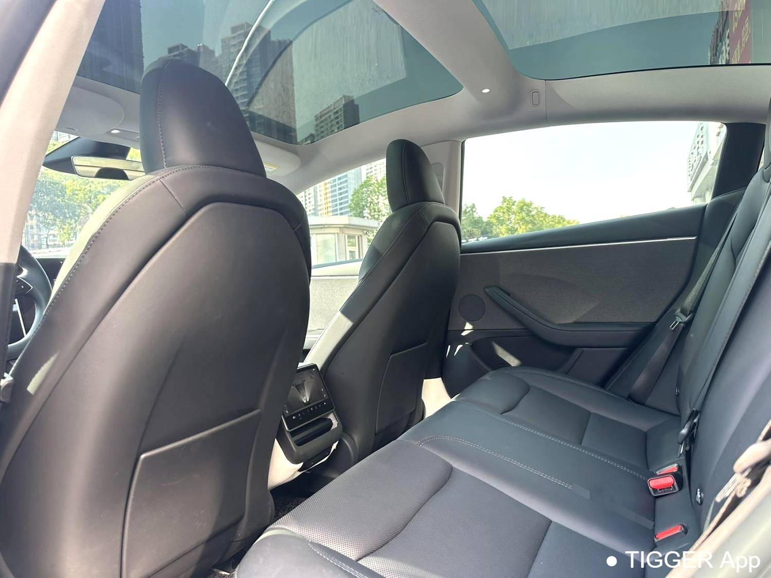 TESLA 2023 Model 3 refreshed with rear wheel drive automatic transmission