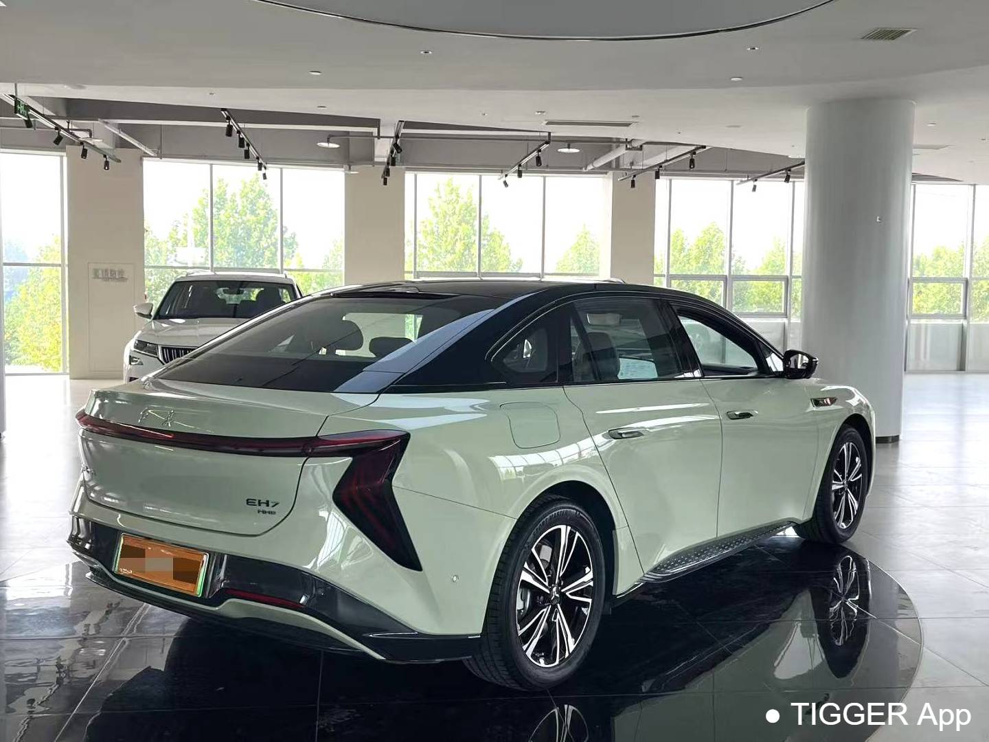 Hong Qi 2024 EH7 690 Pro Honor Edition Automatic Transmission