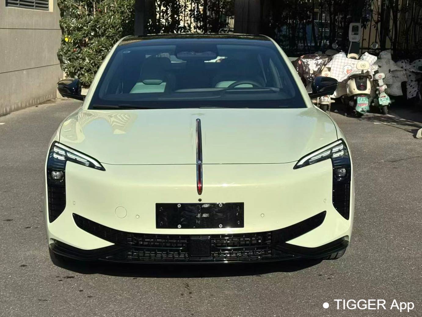 Hong Qi  2025 EH7 690 Intelligent Selection Automatic Transmission