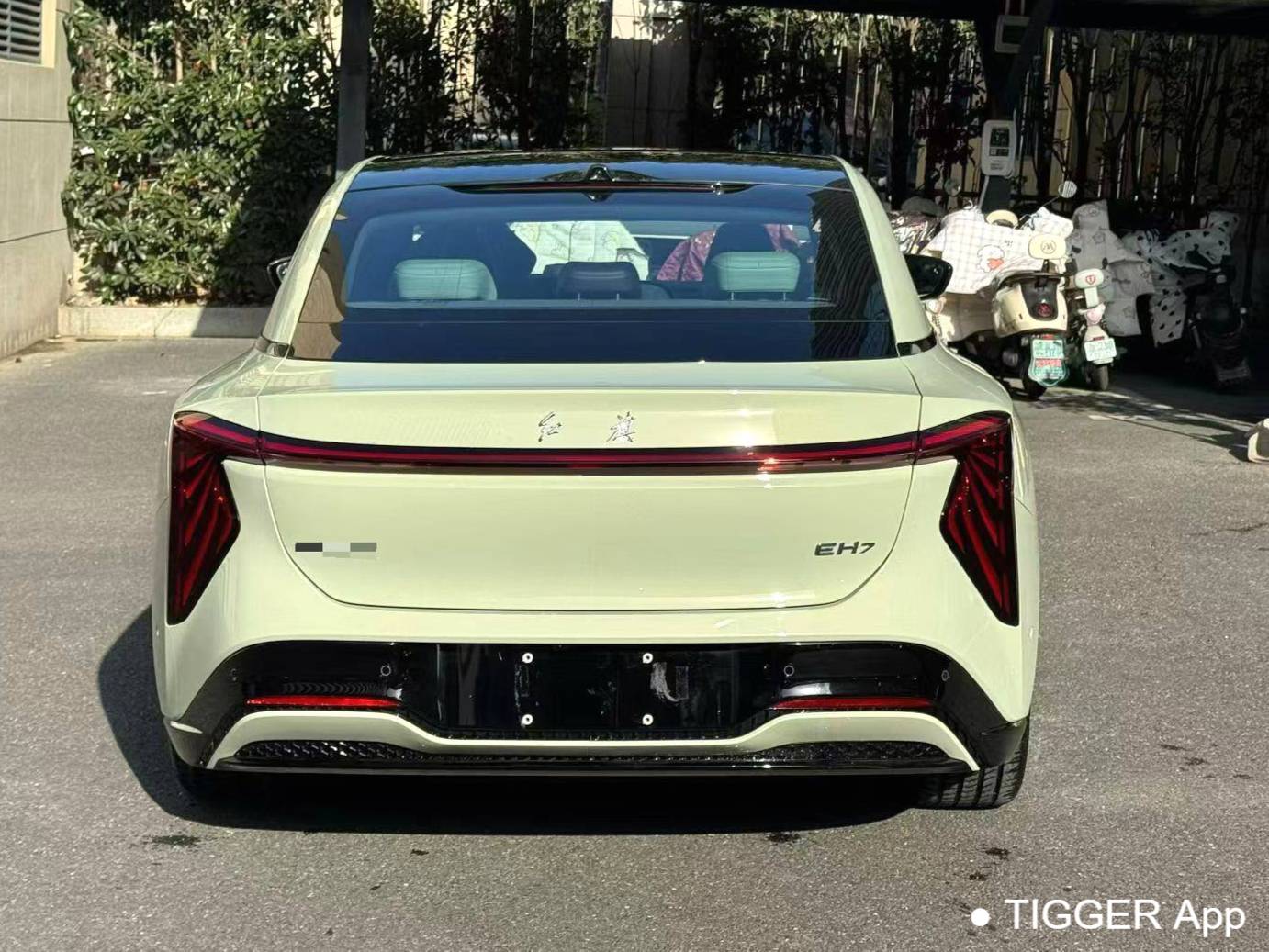 Hong Qi  2025 EH7 690 Intelligent Selection Automatic Transmission