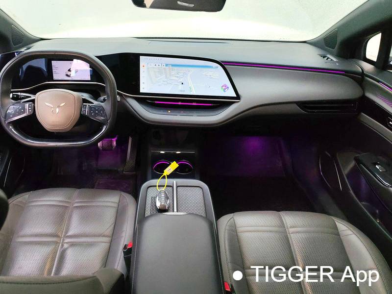 Hong Qi 2024 EH7 820 Pro Honor Edition Automatic Transmission