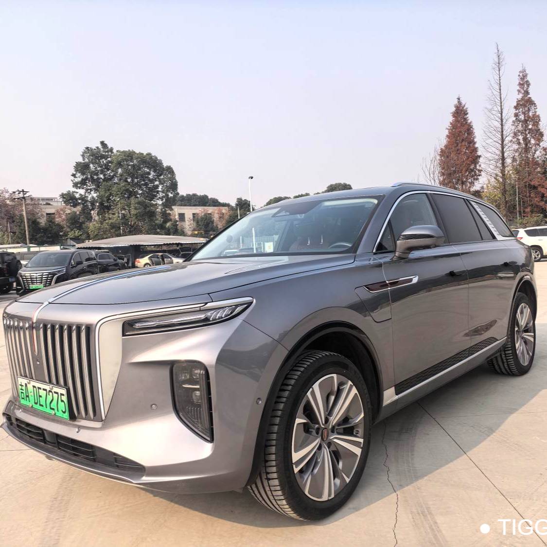 Hong Qi  2022 E-HS9 660km Qichang Edition 6-seater automatic transmission Used Car