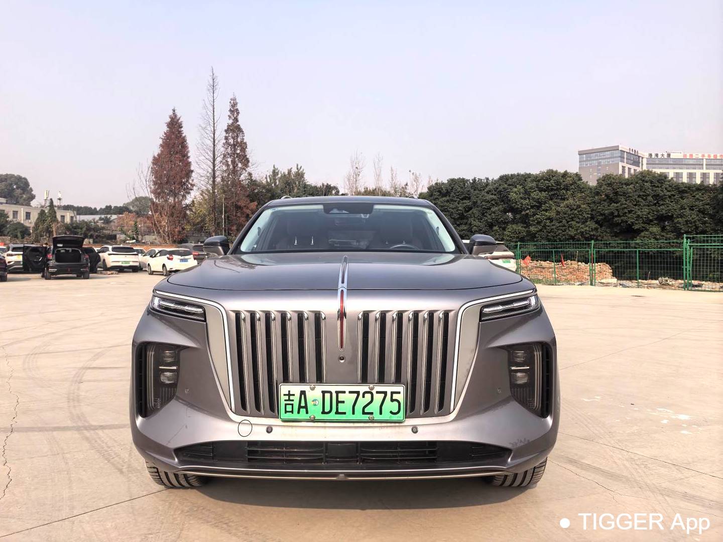 Hong Qi  2022 E-HS9 660km Qichang Edition 6-seater automatic transmission