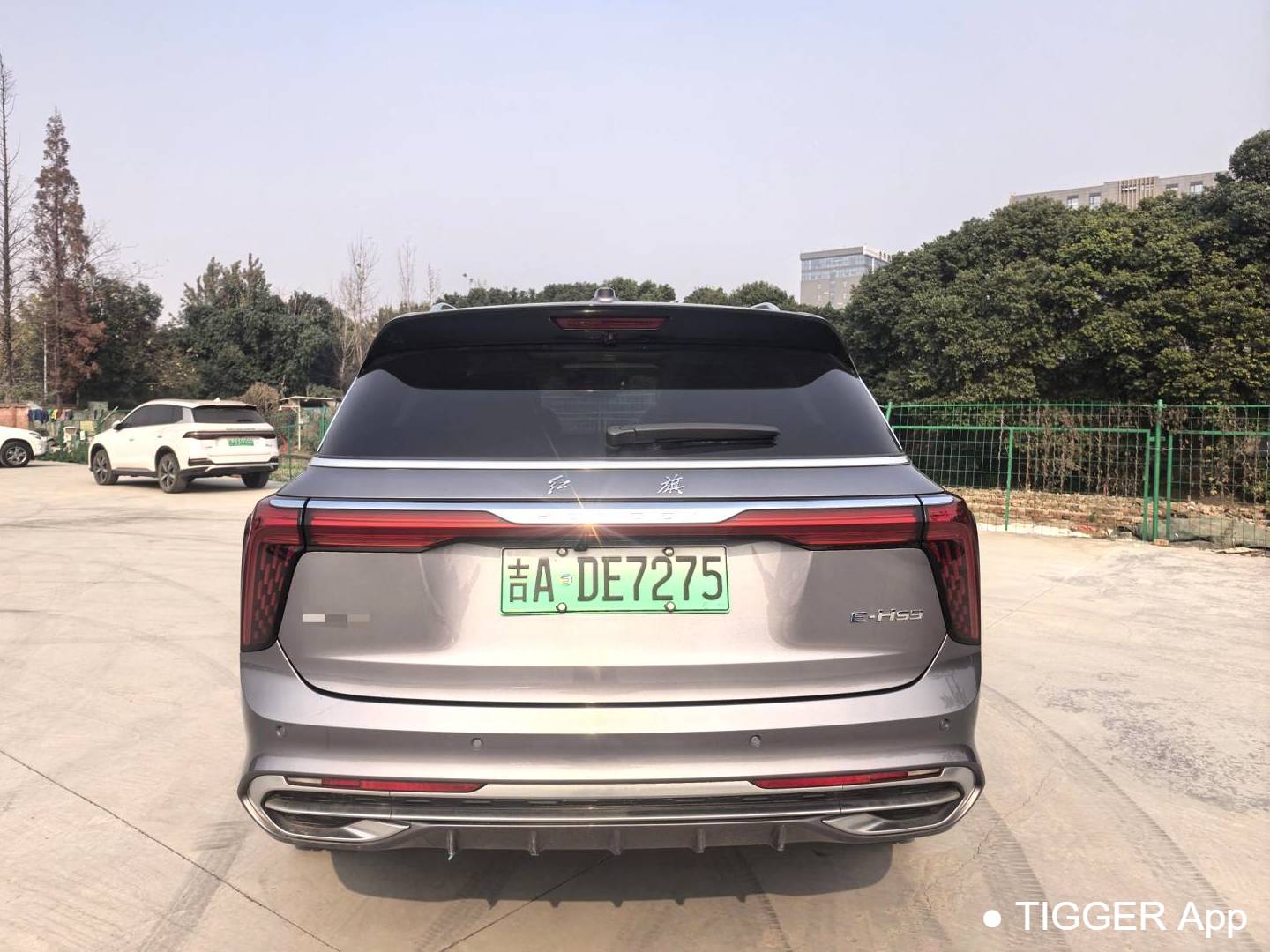 Hong Qi  2022 E-HS9 660km Qichang Edition 6-seater automatic transmission